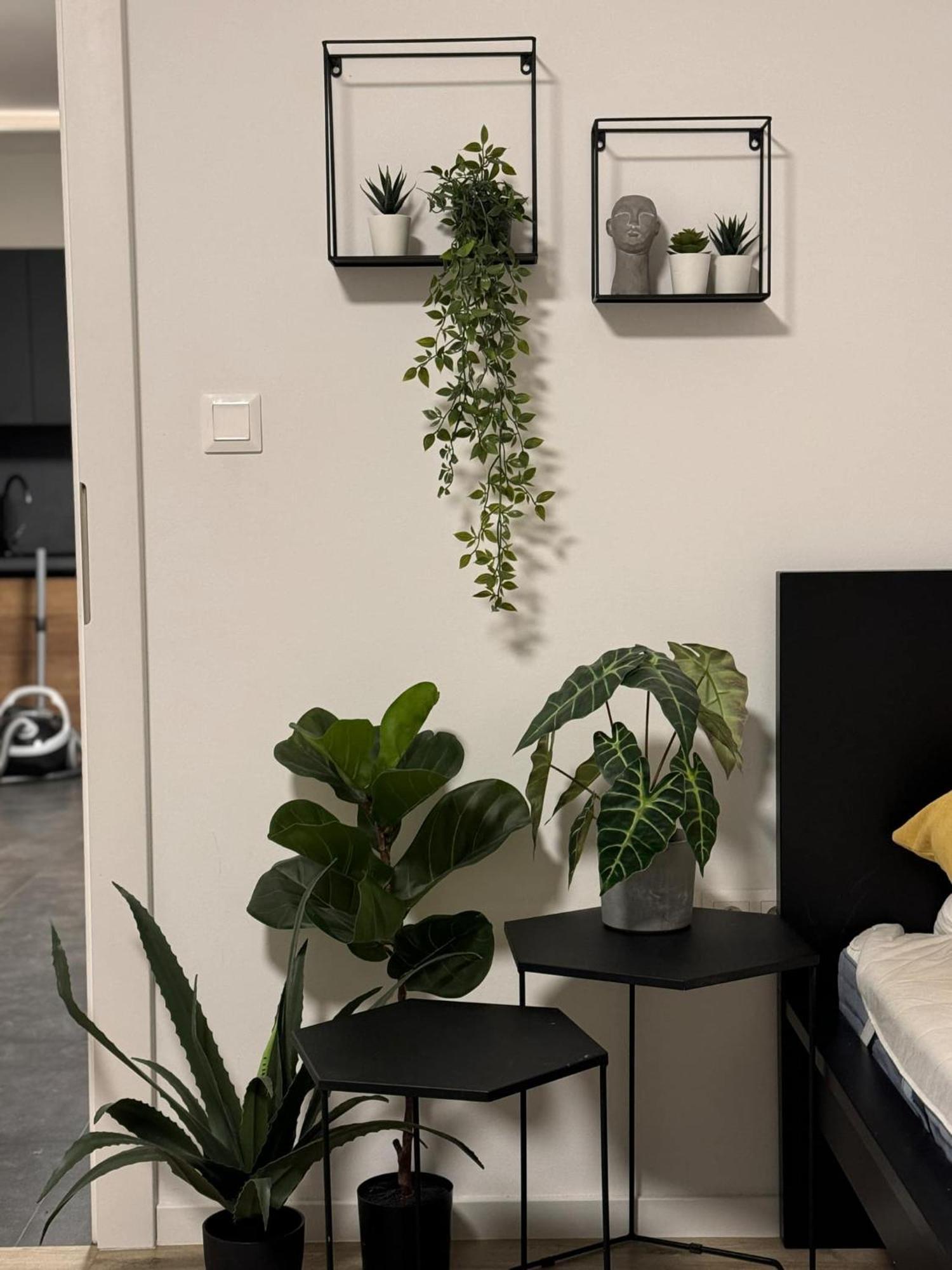Apartmany Elli Mýto pod Ďumbierom Exterior foto